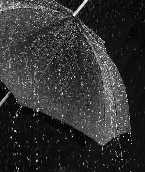 Rain continues as temperature drops in J&K