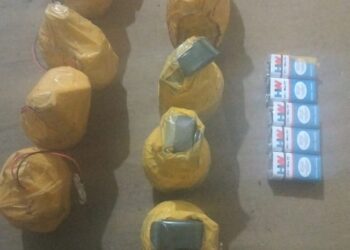 Pulwama Police apprehended one terror associate along with 10 grenades.