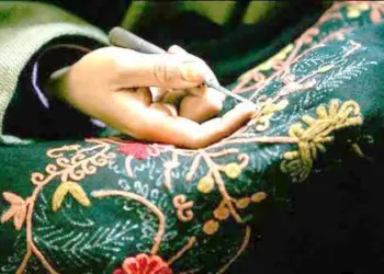 وادی کشمیر میں عصر حاضر کے چلینجوں کا مقابلہ کرتے ہوئے اختراع کار 