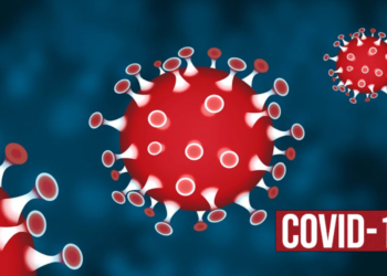 India records 6 new COVID-19 cases