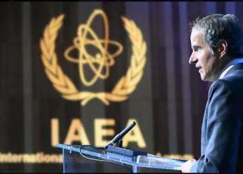 Situation around ZNPP remains tense due to hostilities: IAEA Head