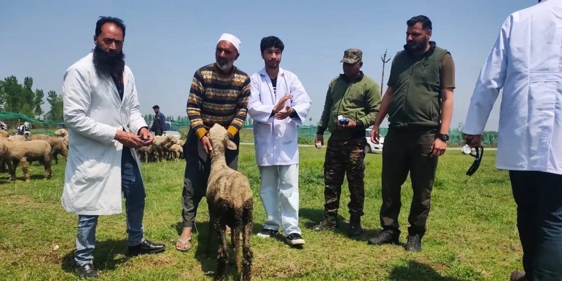 Army Holds Free Veterinary Camp in Remote Shopian Village, Locals Seek More Initiatives