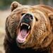 Two injured after attacked by bear in Ladhoo Pampore