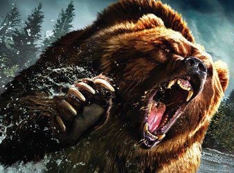 Two persons injured after  attacked by bear in Anantnag
