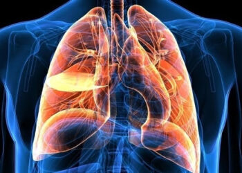 Cancer risk due to certain pesticides’ exposure comparable to that due to smoking, study finds