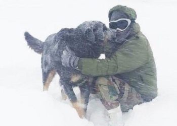 Stray Dogs Are Soldiers’ Early Warning System On LoC In Gulmarg
