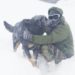 Stray Dogs Are Soldiers’ Early Warning System On LoC In Gulmarg