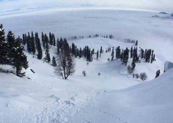 Fresh Snowfall at Sinthan Top Halts Traffic on Kishtwar-Anantnag Road