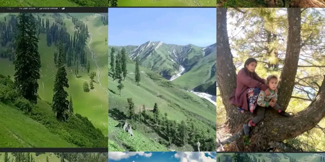 Bhaderwah: The Treasure of Tourist Spots