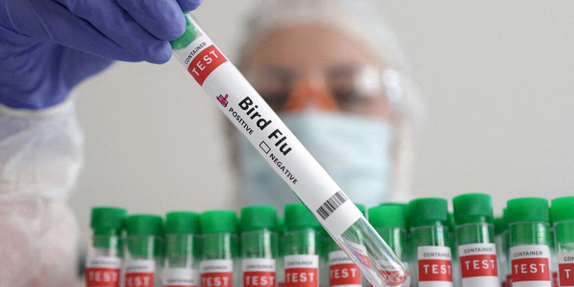 WHO confirms human case of bird flu in India