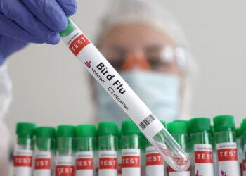 WHO confirms human case of bird flu in India