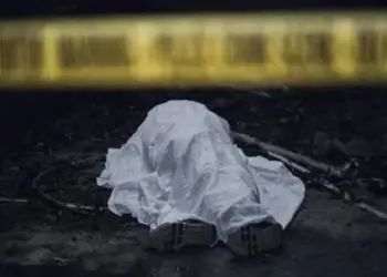 Carpenter Dies After Falling From Mosque Rooftop in Bijbehara, Another Injured
