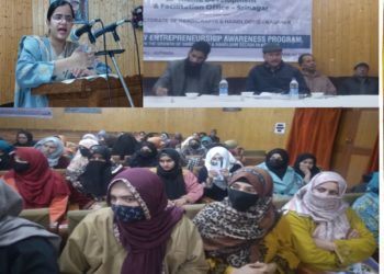 DC Kupwara chairs Entrepreneurship Awareness programme