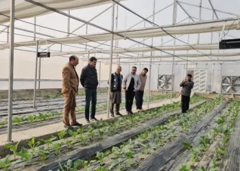 Director Agriculture Kashmir “Model Hi-tech poly houses” at Bijbehara