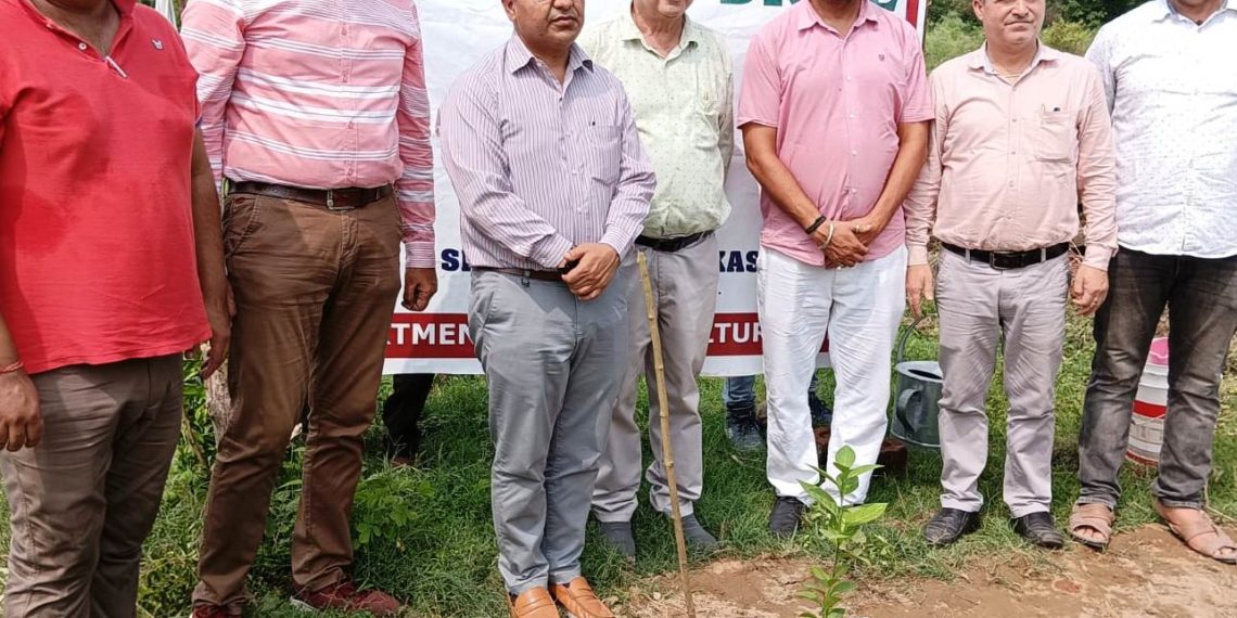 Director Horticulture launches Plantation Drive in Dansal