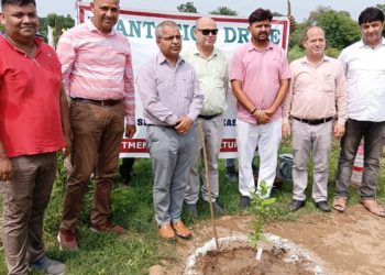 Director Horticulture launches Plantation Drive in Dansal