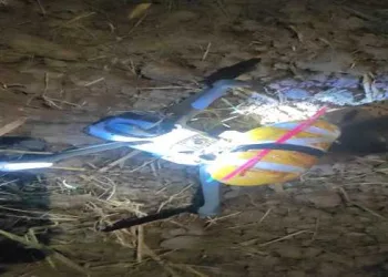 BSF troops intercepts Pak drone, recover narcotics on Jammu border