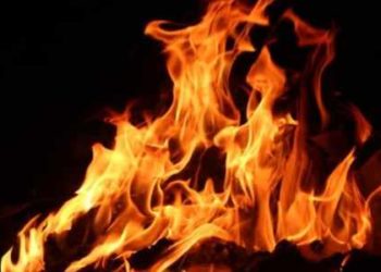 10 goats, bull charred alive in mysterious fire in Poonch
