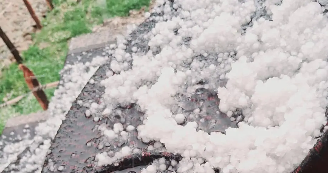 Fresh Intense Hailstorm Hits Shopian Again; Locals Urge Compensation