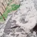 Fresh Intense Hailstorm Hits Shopian Again; Locals Urge Compensation