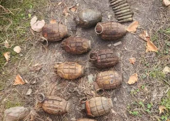 Terrorist hideout busted in Handwara: Police