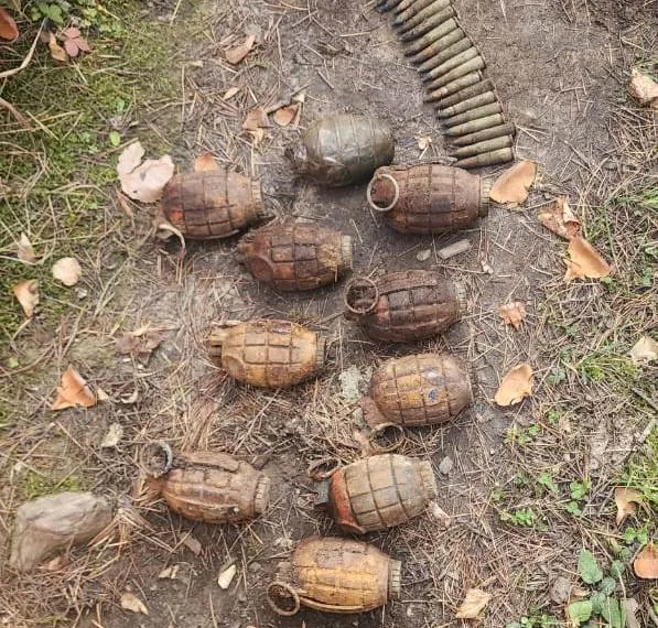 Terrorist hideout busted in Handwara: Police