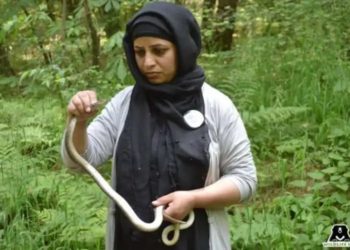 Alia Mir, first woman wildlife rescuer in J-K, honoured with Wildlife Conservation Award