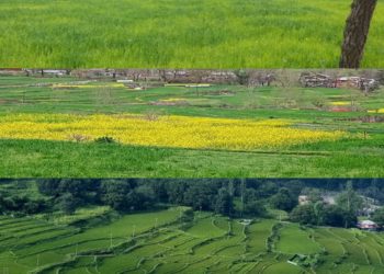 کسان منافع حاصل کرے گے، کرناہ اب دوہری فصل کا رخ کرے گا۔