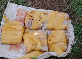 Narcotics recovered along LoC in Rajouri: Police