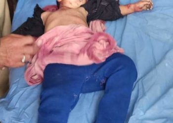 Minor Boy Killed in Leopard Attack in Handwara Village