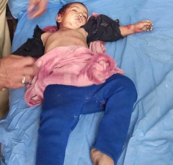 Minor Boy Killed in Leopard Attack in Handwara Village