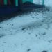 Bandipora’s Razdan Top Receives Season’s First Snowfall
