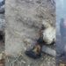 3 Cow’s and 60 sheeps burn’s in overnight  blaze in Kishtiwar