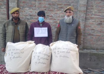 Police arrests a drug peddler in Budgam, Contraband substances recovered