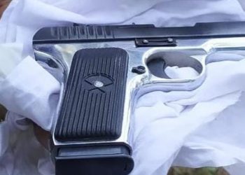 Security Forces Recover Pistol, Ammo During CASO in Rajouri