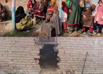 Burglars steal over 30 sheep in South Kashmir