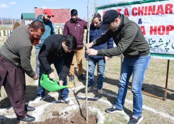 ڈی سی نے شوپیاں میں چنار شجرکاری مہم کا آغاز کیا۔