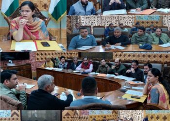 ڈپٹی کمشنر کپواڑہ نے روڈ سیفٹی کمیٹی کی میٹنگ کی صدارت  کی، متعلقہ افراد کو اوور لوڈنگ، ٹریفک کی دیگر خلاف ورزیوں  کے خلاف زیرو ٹالرینس کو یقینی بنانے کی ہدایت