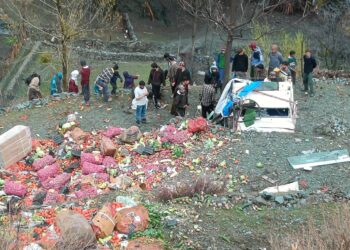 کررناہ میں سبزیوں سے بھری ٹاٹا موبائل گاڑی حادثہ کا شکار، سبزیاں تباہ ,پانچ ماہ بعد گبرہ حادثہ میں زخمی ہوا ڈرئیور بھی لقمہ اجل