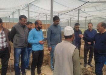 Dir Agri Kashmir conducts extensive visit of Bandipora district