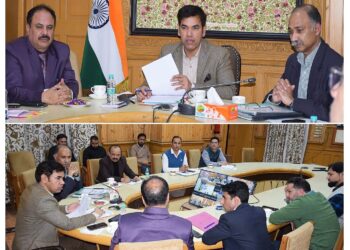 Man-Animal Conflict: Div Com Kashmir calls for coordinated efforts to tackle attacks