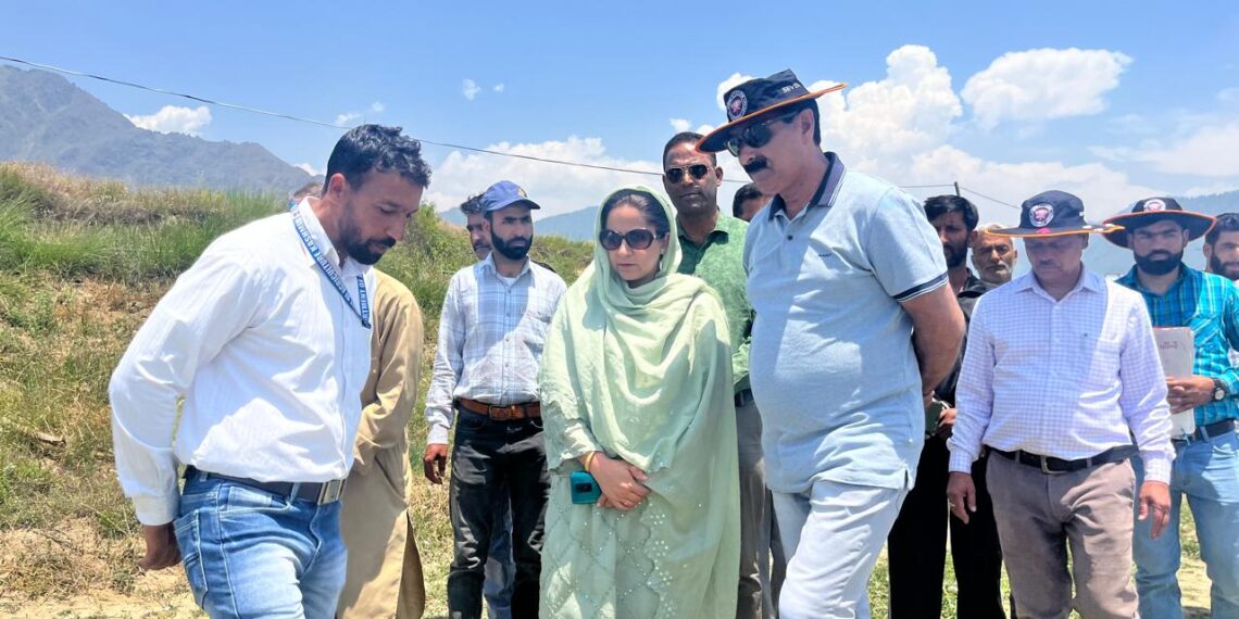Director Agriculture Kashmir visits Kulgam Areas