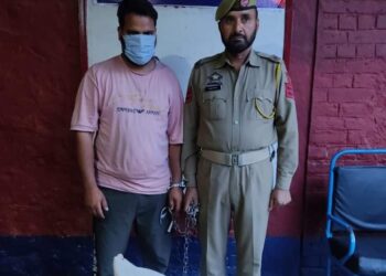 Kulgam Police arrests a drug peddler; Contraband substances recovered