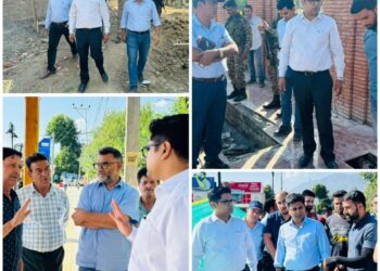 CEO, SSCL inspects ongoing upgradation work at Nishat Precinct & construction of Balidan Stambh