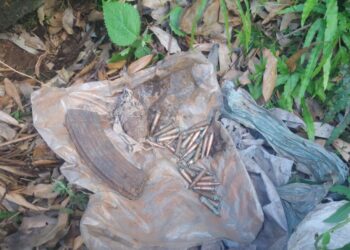 Police recovers 30 bullets, one grenade in Reasi