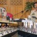 DGP J&K, other senior officers interact with probationary IPS officers at PHQ