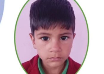  8 year-old boy dies after fall from swing in Tangmarg