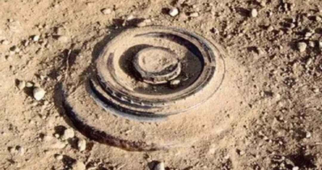 Army Recovers Landmine Along LoC in Poonch District