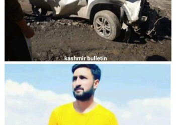 Driver dies, as vehicle skidded off road in, Gurez