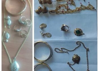 Theft Case Solved: Woman Arrested, Stolen Ornaments Recovered